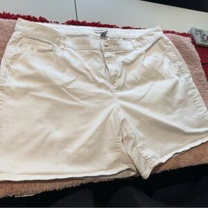 Lane Bryant White Shorts Casual Cotton Blend